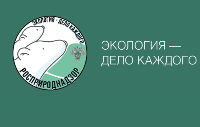 Глава Росприроднадзора объявила о старте V юбилейного сезона премии «Экология – дело каждого»