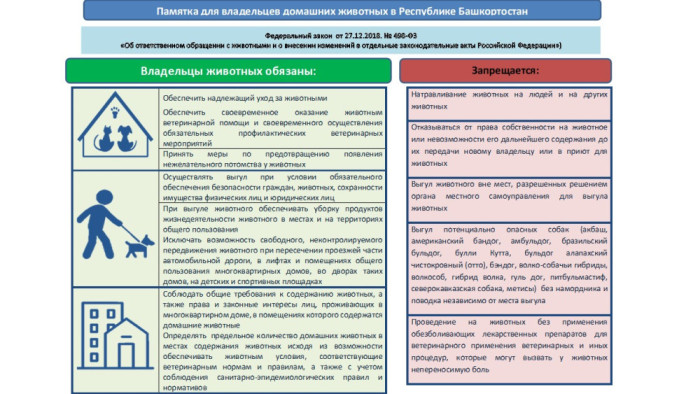 Правила содержания собак и кошек